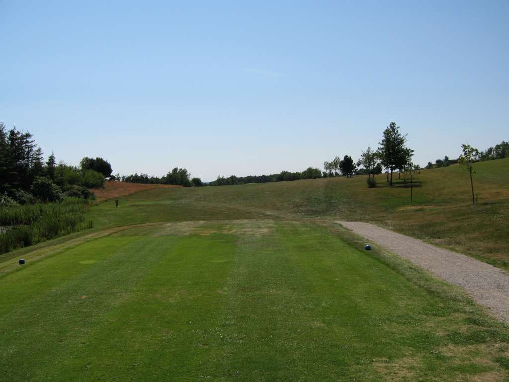Tee